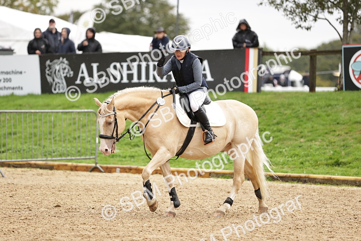 SBM_35783 - J38 - Senior Horse & Pony 80cm Championship