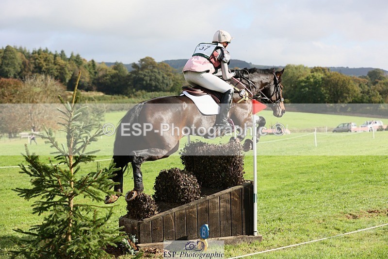 231020-115725-06851 - 057-OVERTON.TILANA'S.GOLD-Claire.Deuten-XC