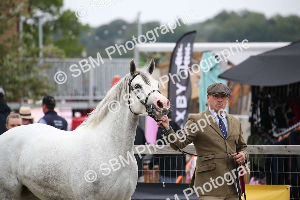 SBM_09727 - Ch 50 - Price Family Supreme In Hand