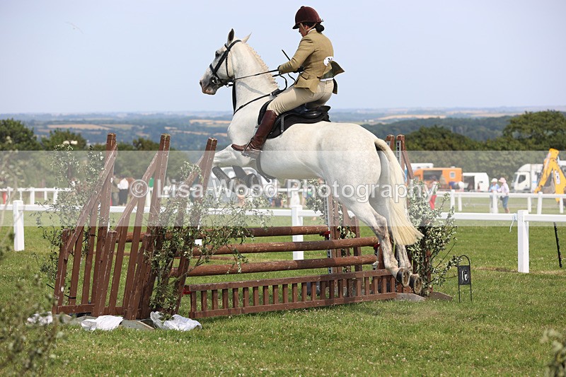 JPP_3669 - Class 23: Working Hunter 80cm