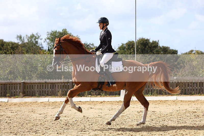 3E7A4845 - Class 11: Elementary Music