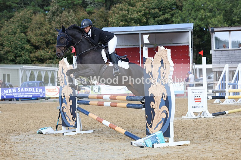 3E7A9226 - Class 9: Senior British Novice/90cm open