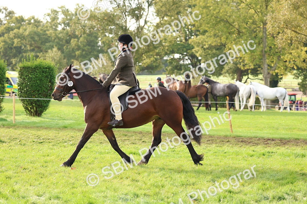 SBM_56603 - S40 - Starters Ridden Showing