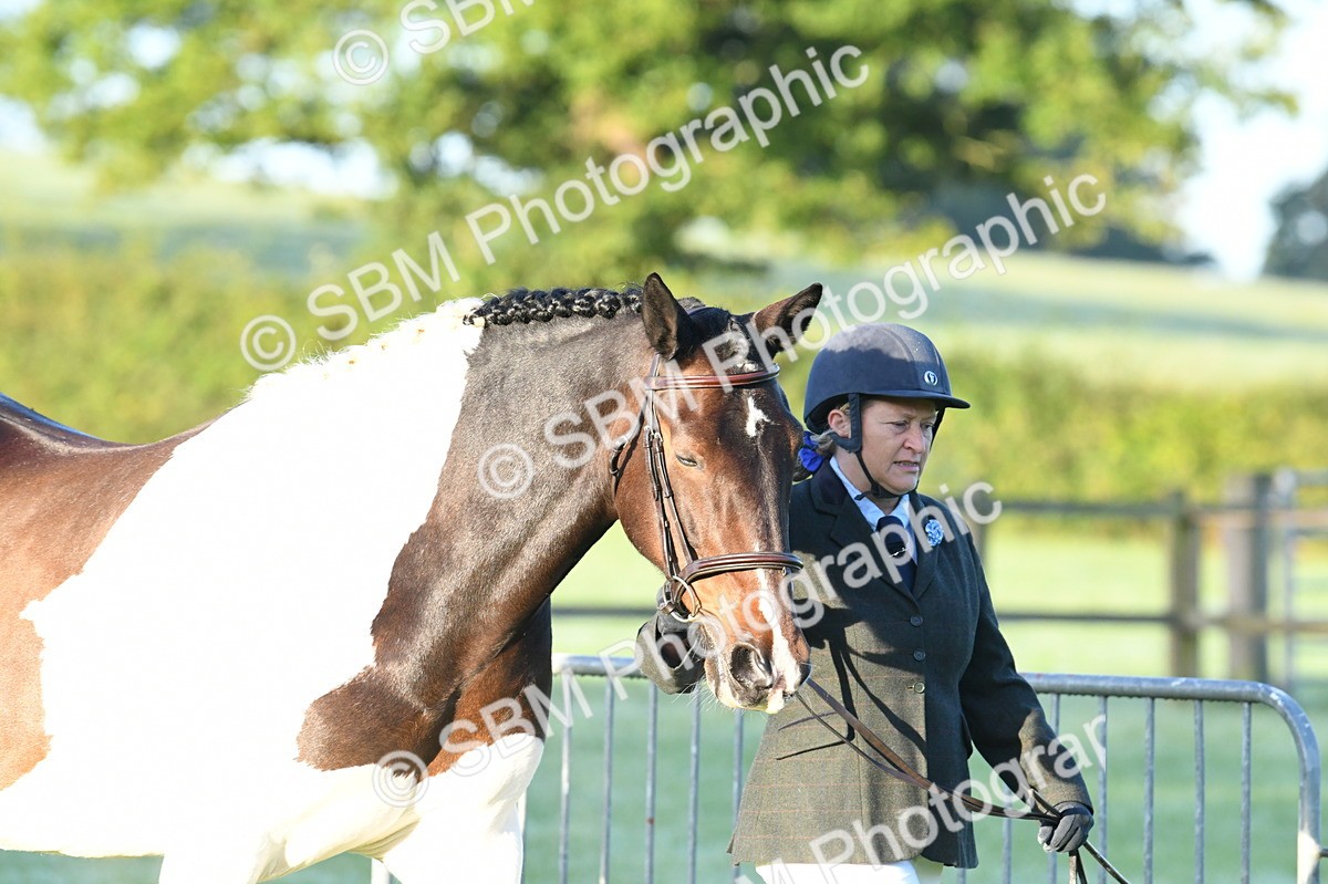 SBM_32449 - S15 - Condition & Turnout In Hand