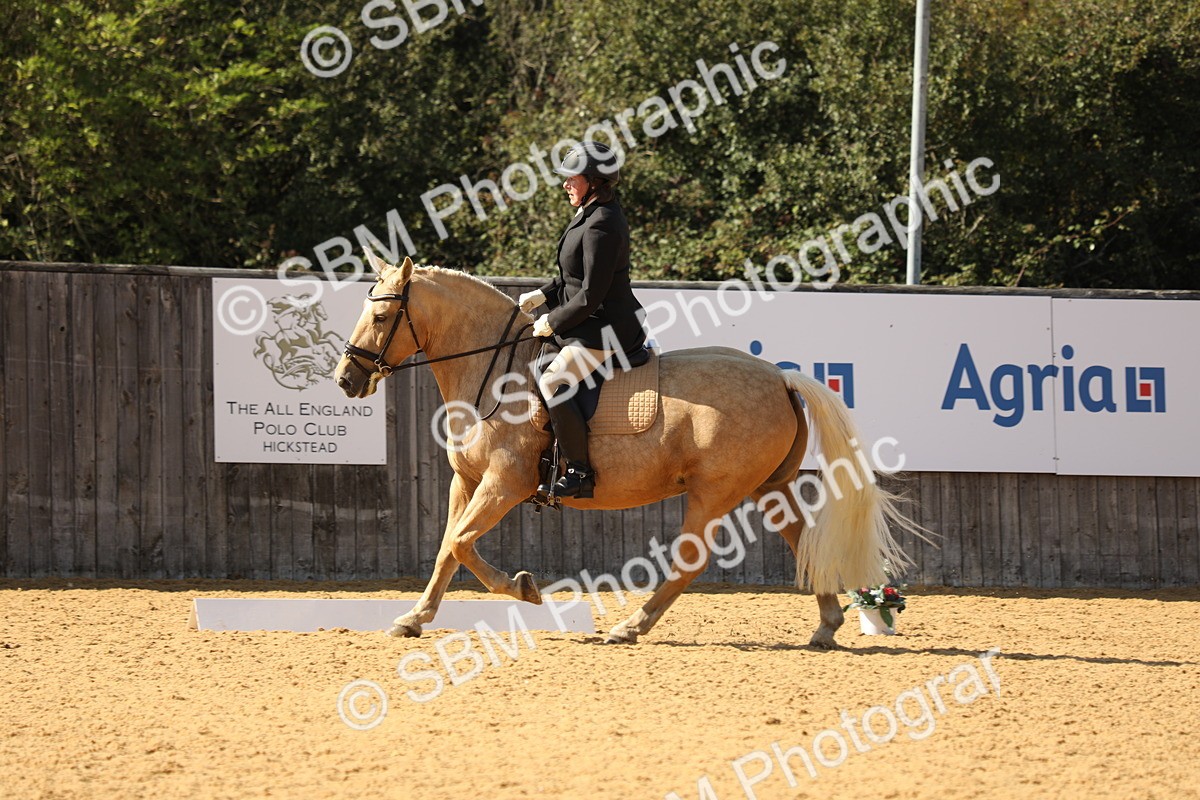 SBM_24582 - D17 - Grand Tour Championship - Novice 27