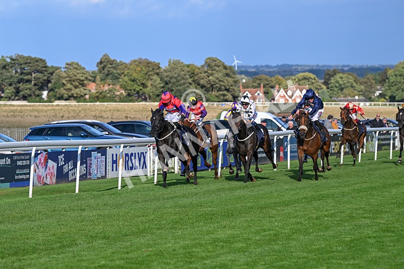 240924-Race 7-It Just Takes Time-6896 - Race 7