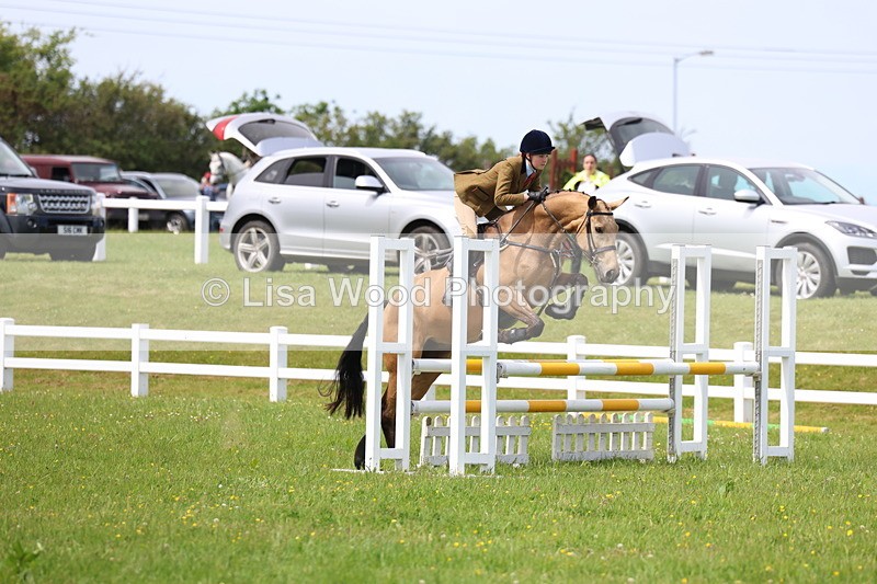 3E7A1436 - Class 13: Senior British Novice/90cm open