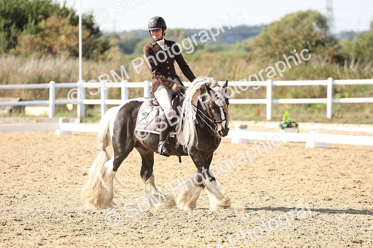 SBM_015274 - Class 9 - Advanced medium 3