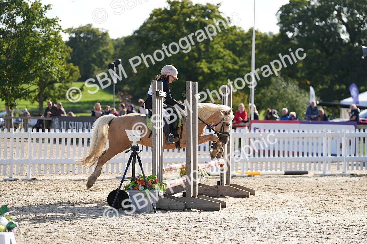 SBM_49276 - J8 - Junior Pony 65cm Championship