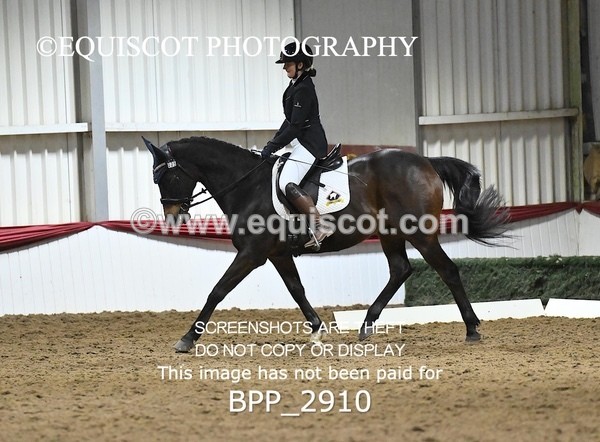 BPP_2910 - ELEM TEST 4