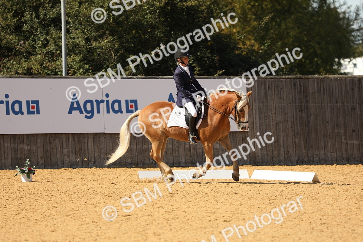 SBM_22385 - D17 - Grand Tour Championship - Novice 27