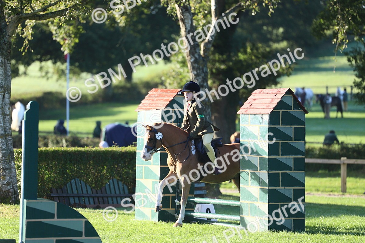 SBM_31831 - S28 - Nursery Stakes Working Hunter Pony