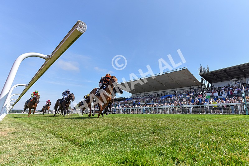 140726-Race 2-What A Tahoo-2891 - Race 2 14.47pm Young Guns Handicap