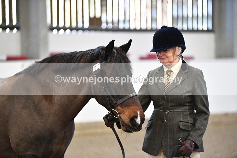 WJ5_3559 - Class 5 In Hand Veterans