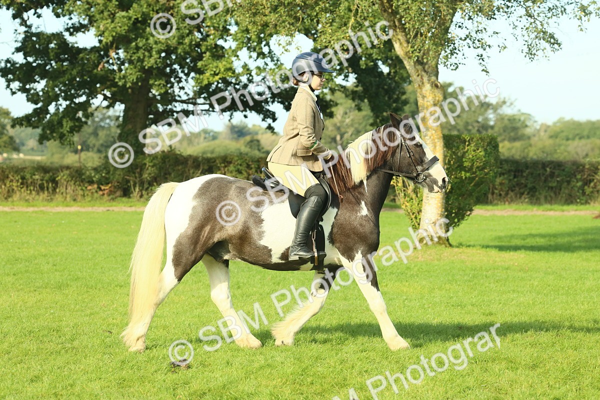 SBM_59823 - S38 - Starters Ridden Showing