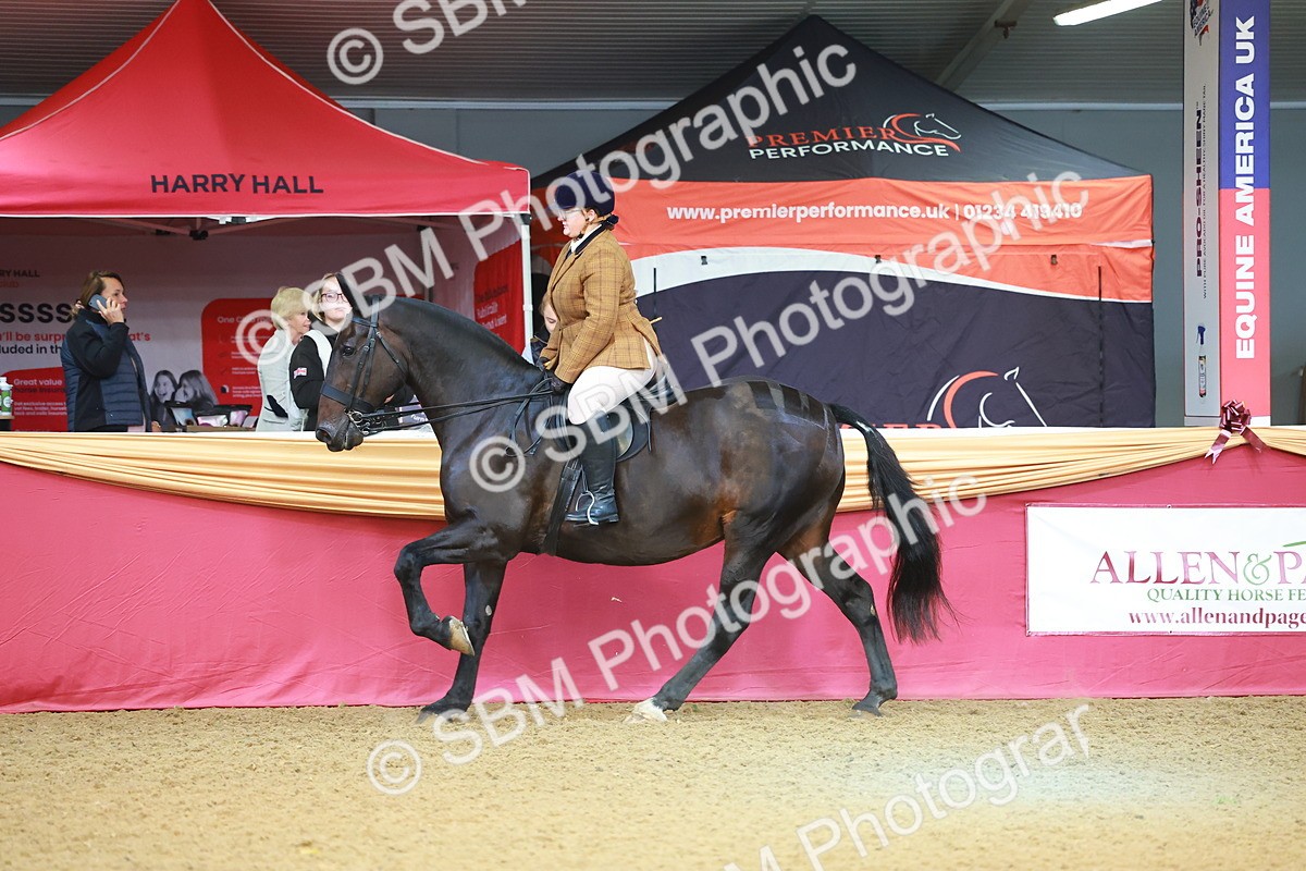 SBM_09512 - Class 102 - HOYS Veteran Qualifier - Ridden Veteran