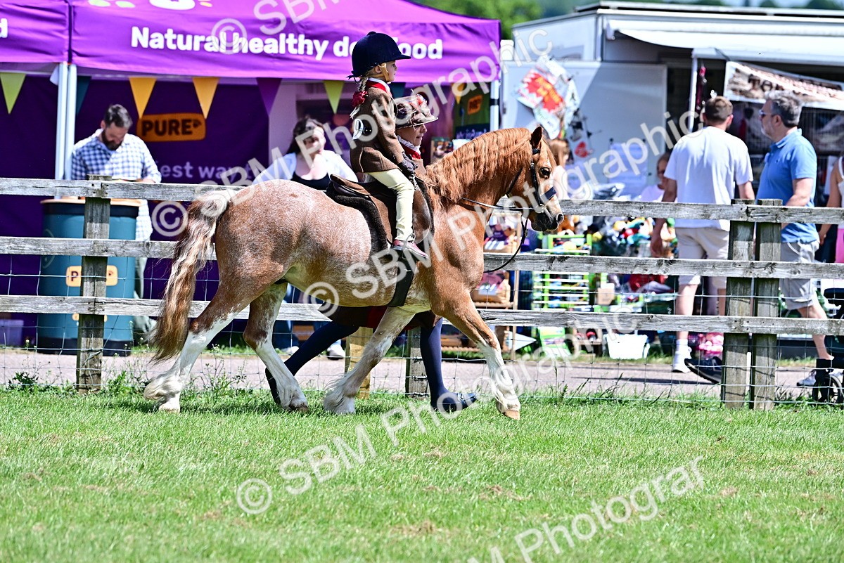 SBM_05754 - Class 59-60 - TSR M&M  Lear Rein and First Ridden Amateur of the year