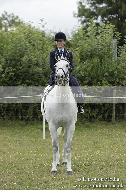 BVR160717-2379 - Side Saddle Classes 16/07/17