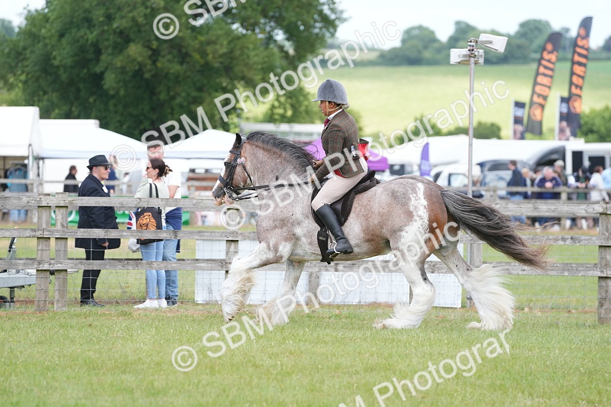 SBM_17211 - Class 107-108 - LIHS BSPS Performance Coloured Horse Pony