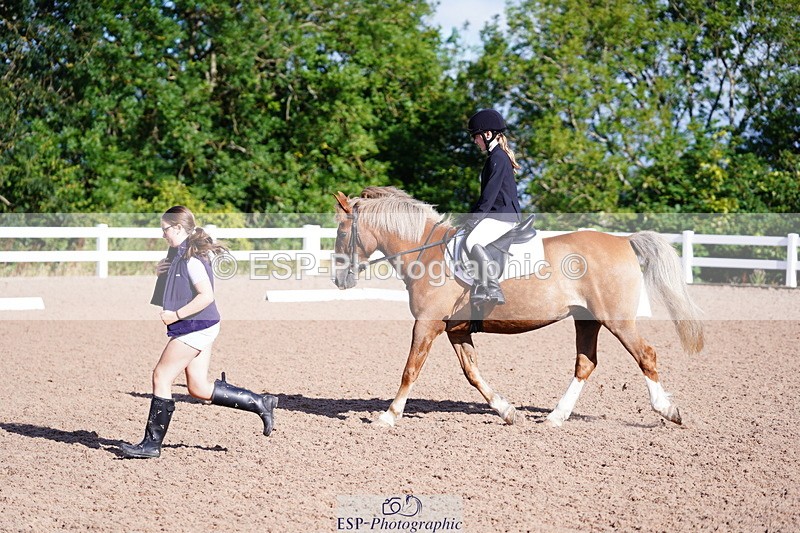 240809A-085246-00121 - Dressage Competition