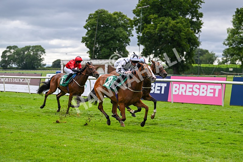 030724-Race 5-Petra Celera-0873 - Race 5