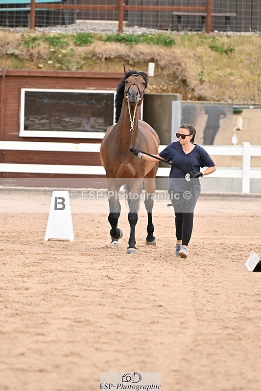 250716-151223-01756 - Trot Up 2.30 to 3.30