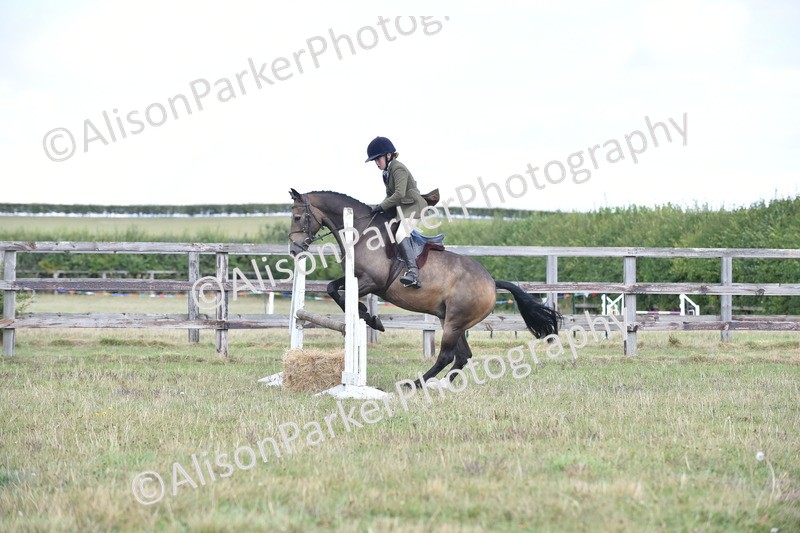 20250831-3967 - Class 12 - Working Hunter Pony 14.2hh and Under
