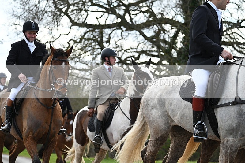 WJ7_9878 - Walk Home