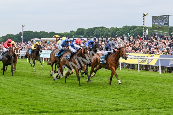 250524-Race 1-Tiriac-2682 - Race 1 1.35pm William Hill Keep Your Raceday Positive Handicap