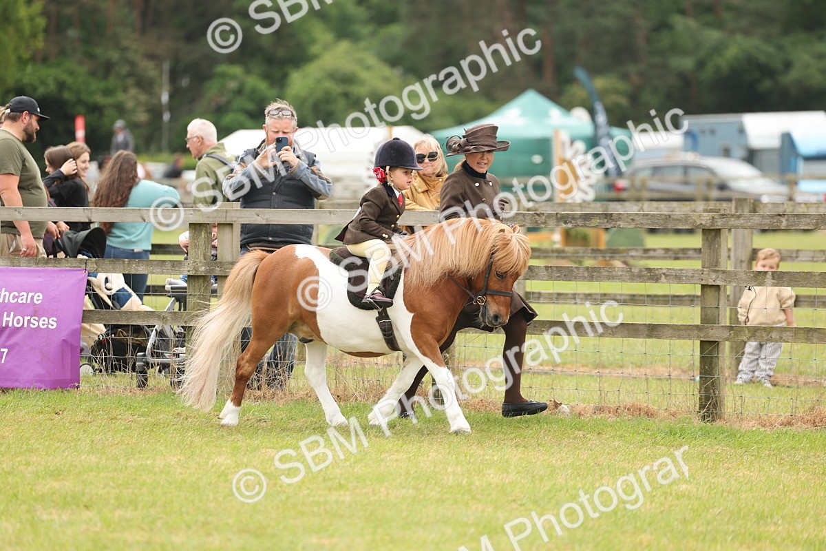 SBM_06655 - Class 74-75 - M&M Lead Rein and First Ridden Pony