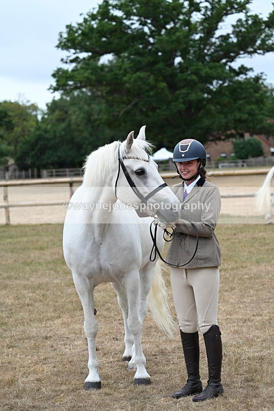 WJ7_9099 - Class 4a Prettiest Mare 14.2hh and over