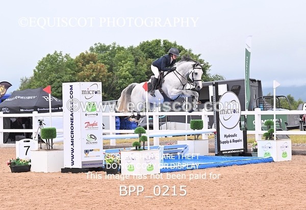 BPP_0215 - CLASS 25 SUN HOYS Redpost Equestrian Senior Foxhunter Second Round