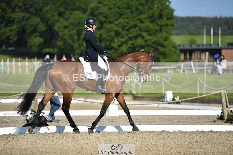 230525-091840-01575 - 304-MADFORD_LAW-Anna_Johannson-WEDTrotUp+DR