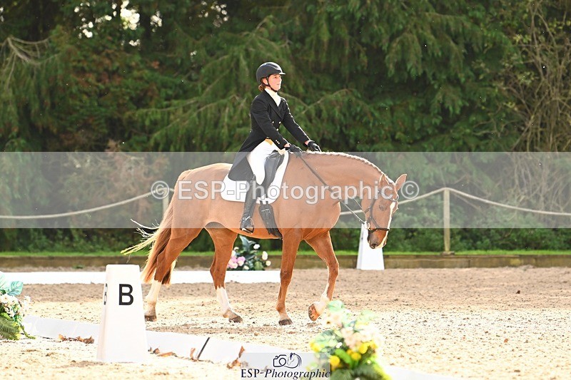 231020-144104-10014 - 309-CROSSTOWN.FINTANS.LAST-Catherine.Burrell-DR