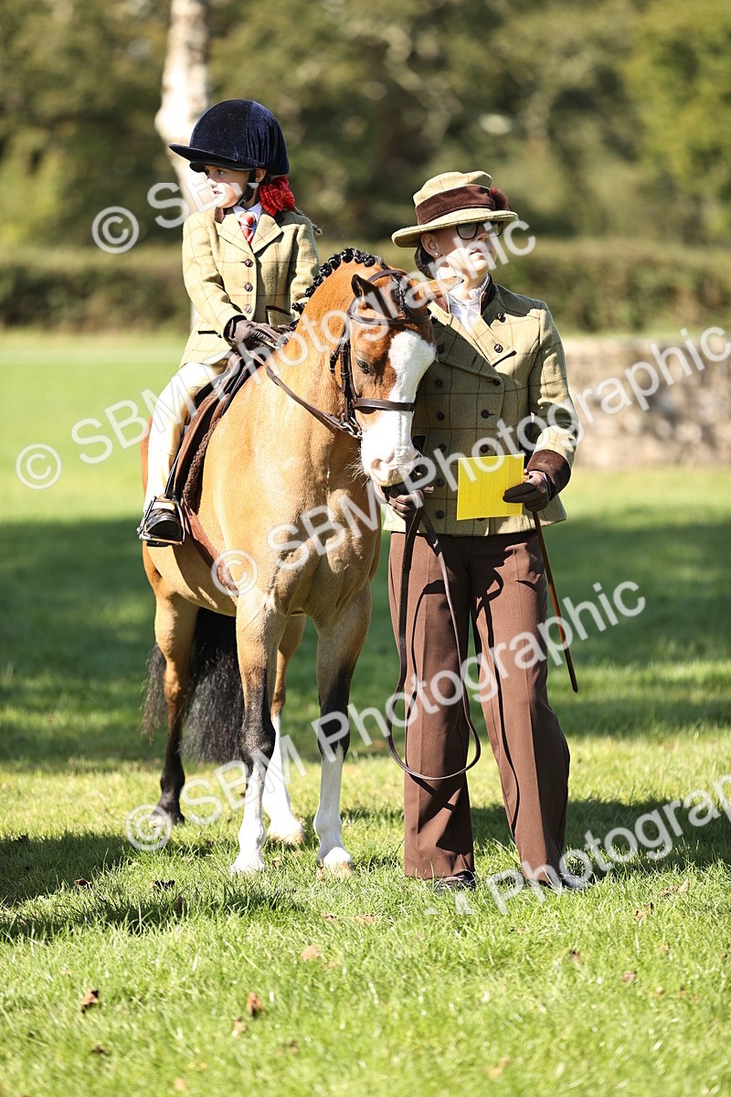 SBM_19367 - S3 - TSR Ridden Pony Showing