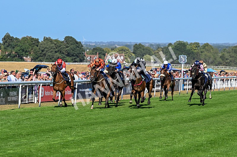 120826-Race 6-Rumble Ruby-7456 - Race 6 16.45pm Nation Radio Yorkshire Handicap