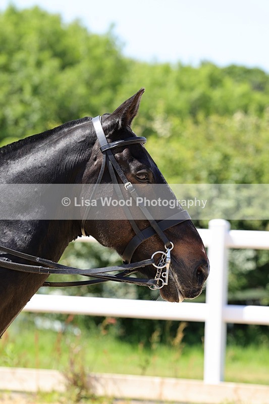 1X9A1765 - Class 11: Ridden Cob
