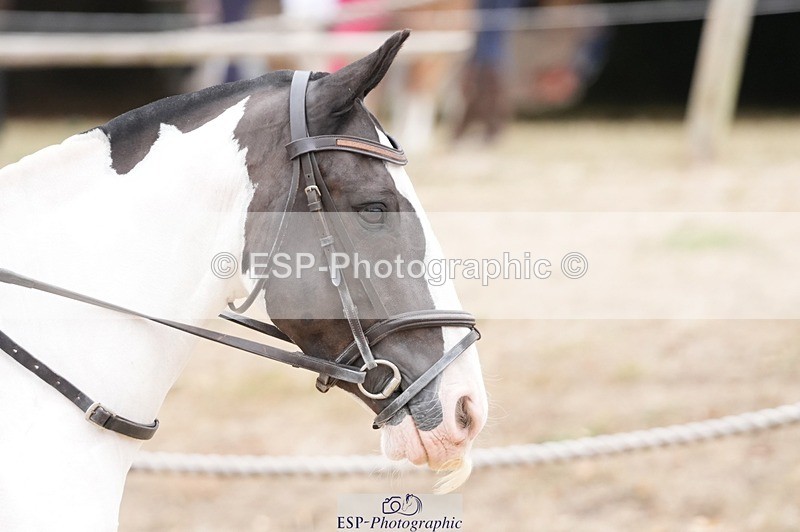 250820A-115747-06173 - Round 2, 11.45 to 12.30 End