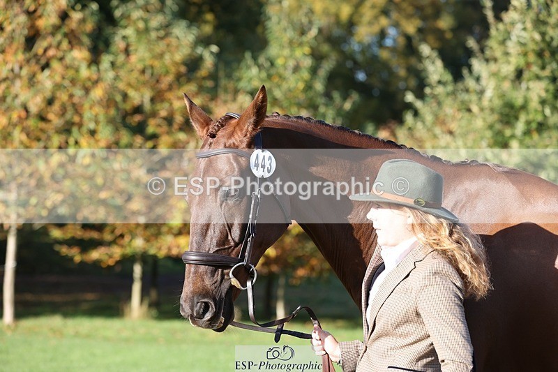 241027-092610-15293 - 443-Bethan.O'Dell-RED.VICO