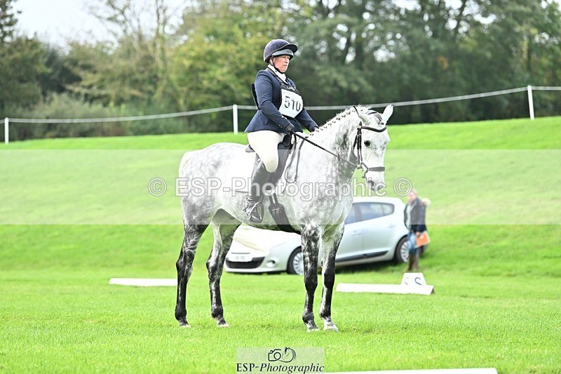 241024-115315-02526 - 510-Kathryn.Virjee-BROWNSTOWNS.SEAWATCH