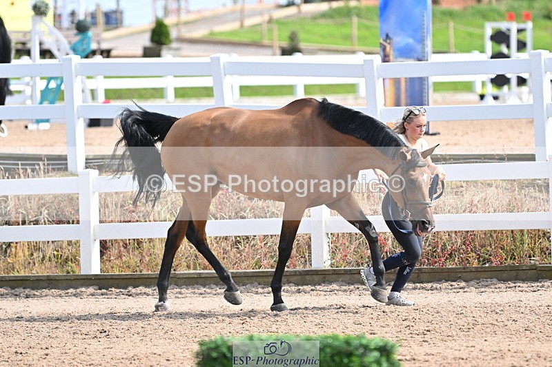 240717A-155453-03178 - Trot Up 3pm to 4pm