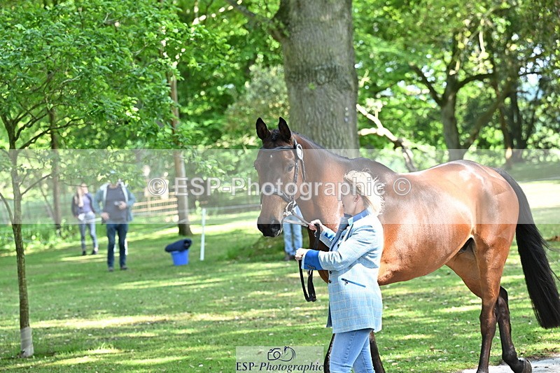 250521A-154309-00713 - B-358-Sammi.Birch-PARKFIELD.ARTIE.BLOU