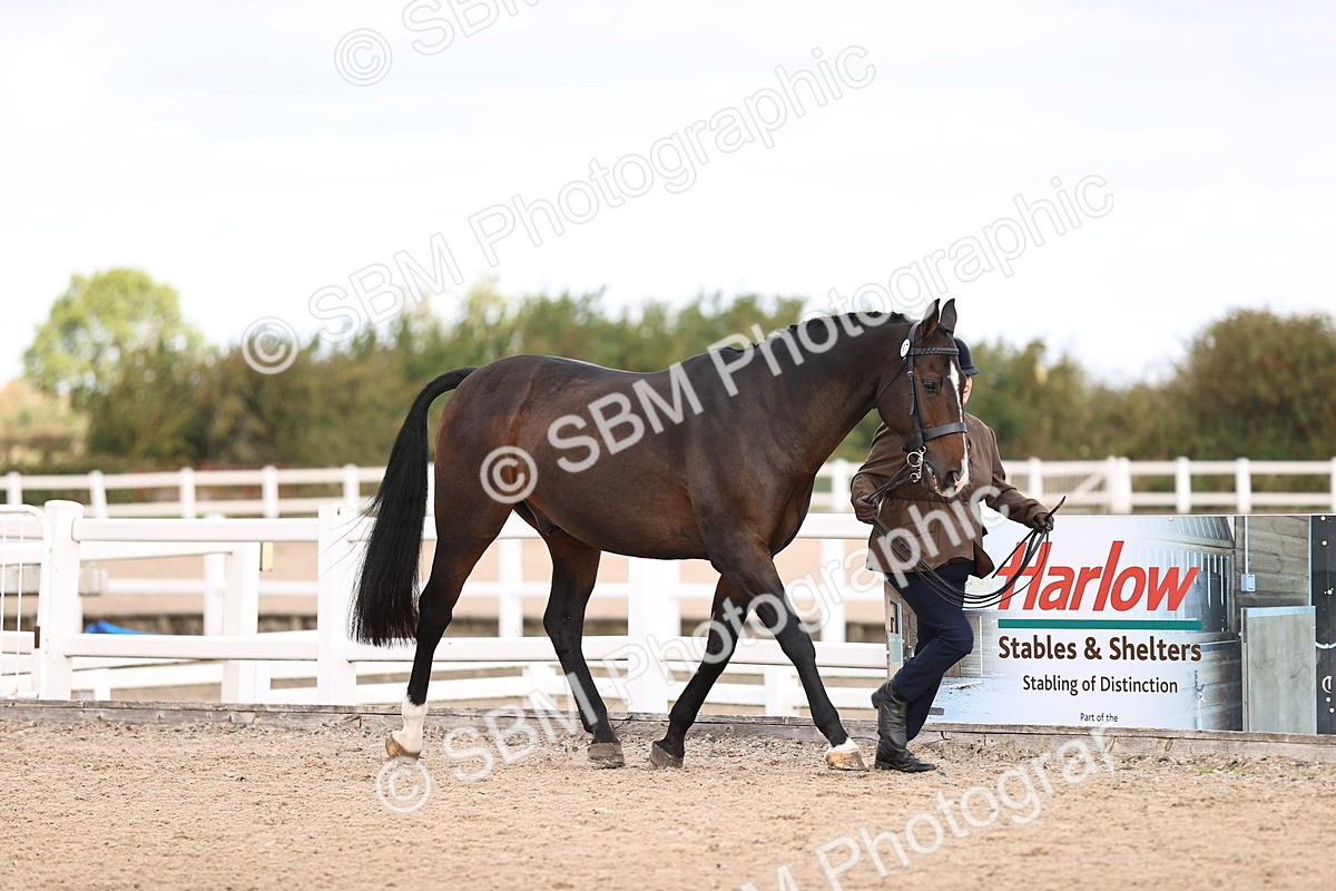 SBM_10434 - Class 406 - IH Hunter