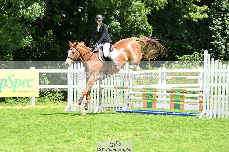 250614A-134937-06981 - Cls 20 Foxhunter