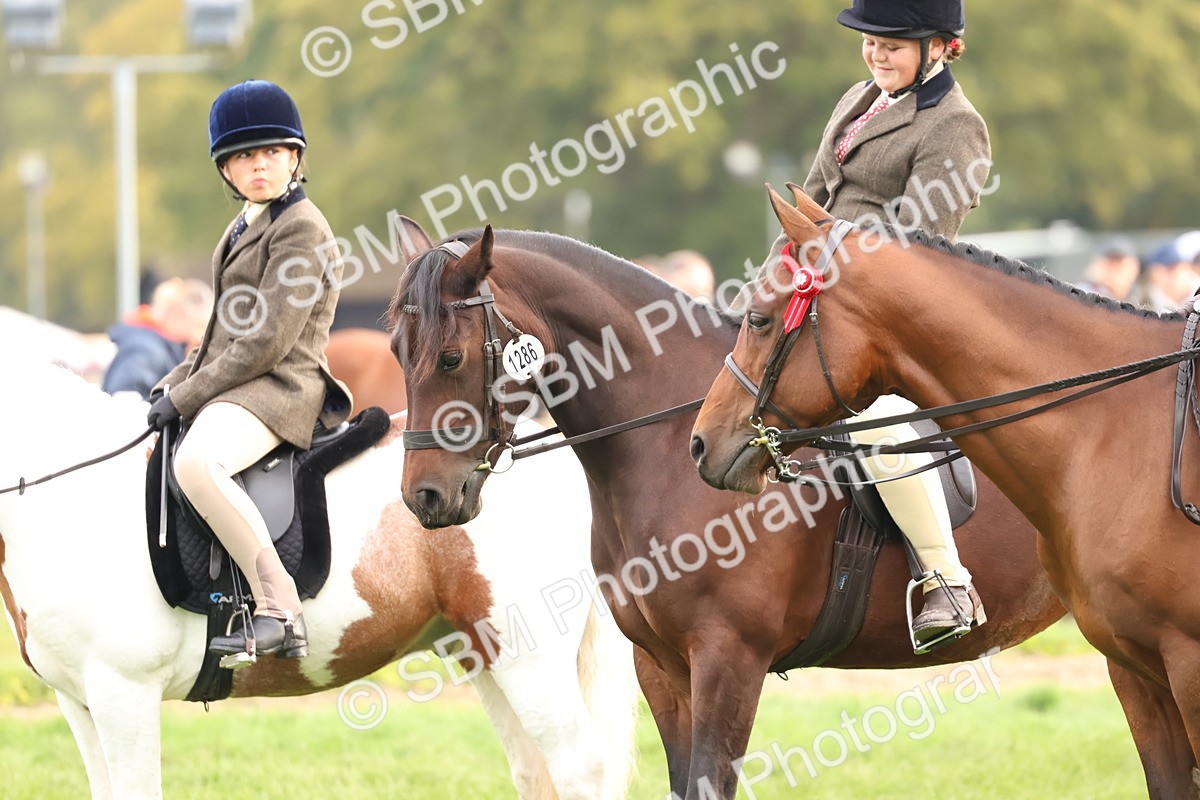 SBM_56666 - S40 - Starters Ridden Showing