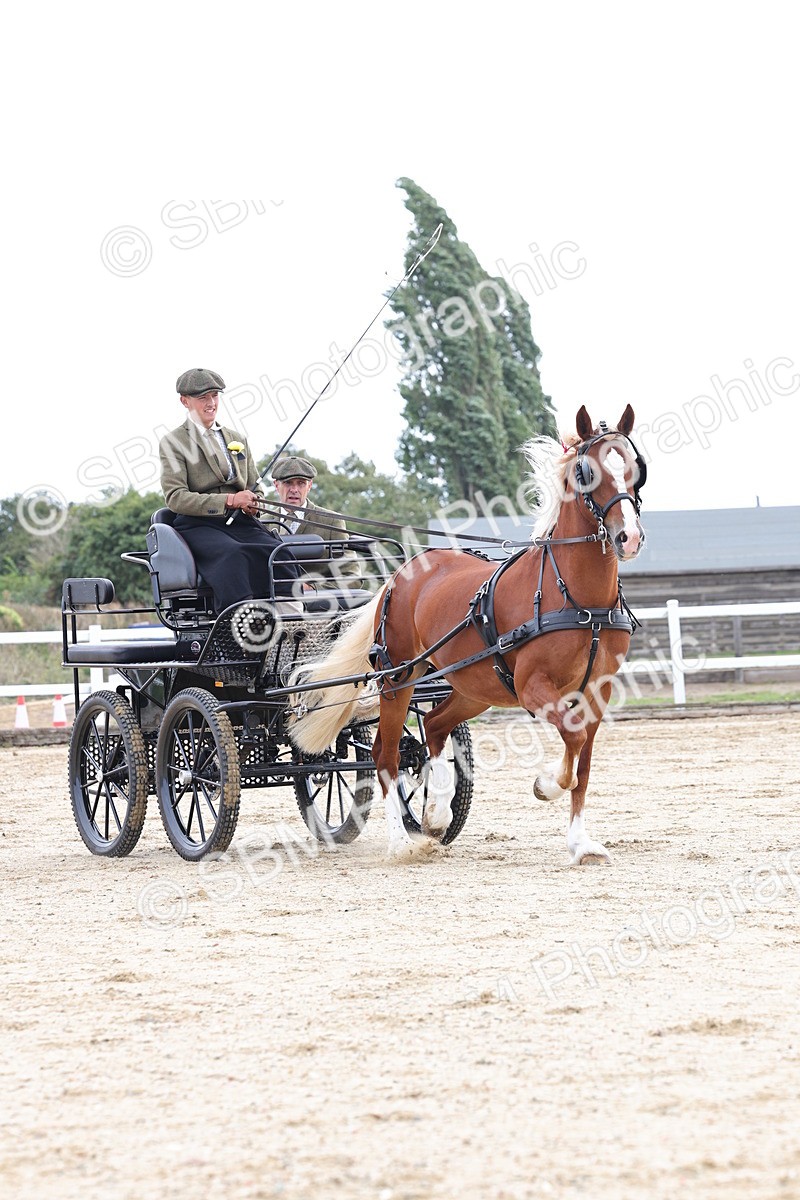 SBM_000764 - Class 6 - Exercise Vehicle 13.2 and over