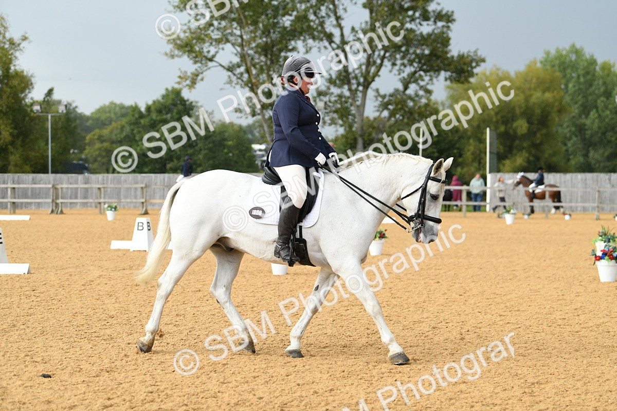 SBM_11104 - D28 Elementary Taster Elementary 42