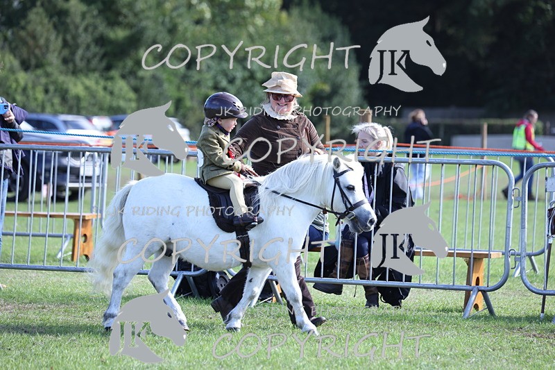 APP_3958 - Class 13 Lead rein