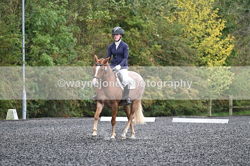 WJ7_3770 - Time 11:04 to 11:38