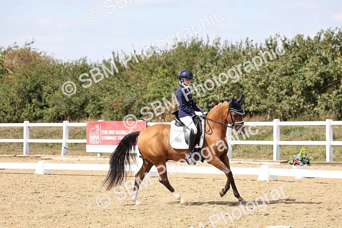 SBM_014847 - Class 7 - Medium 3